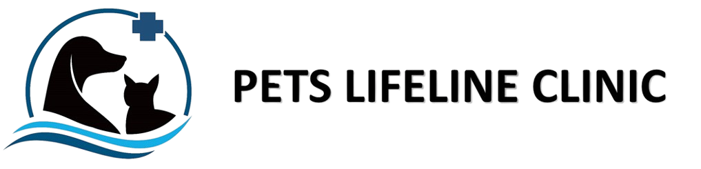 new-logo__1_-removebg-preview